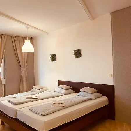 Veni * Graz